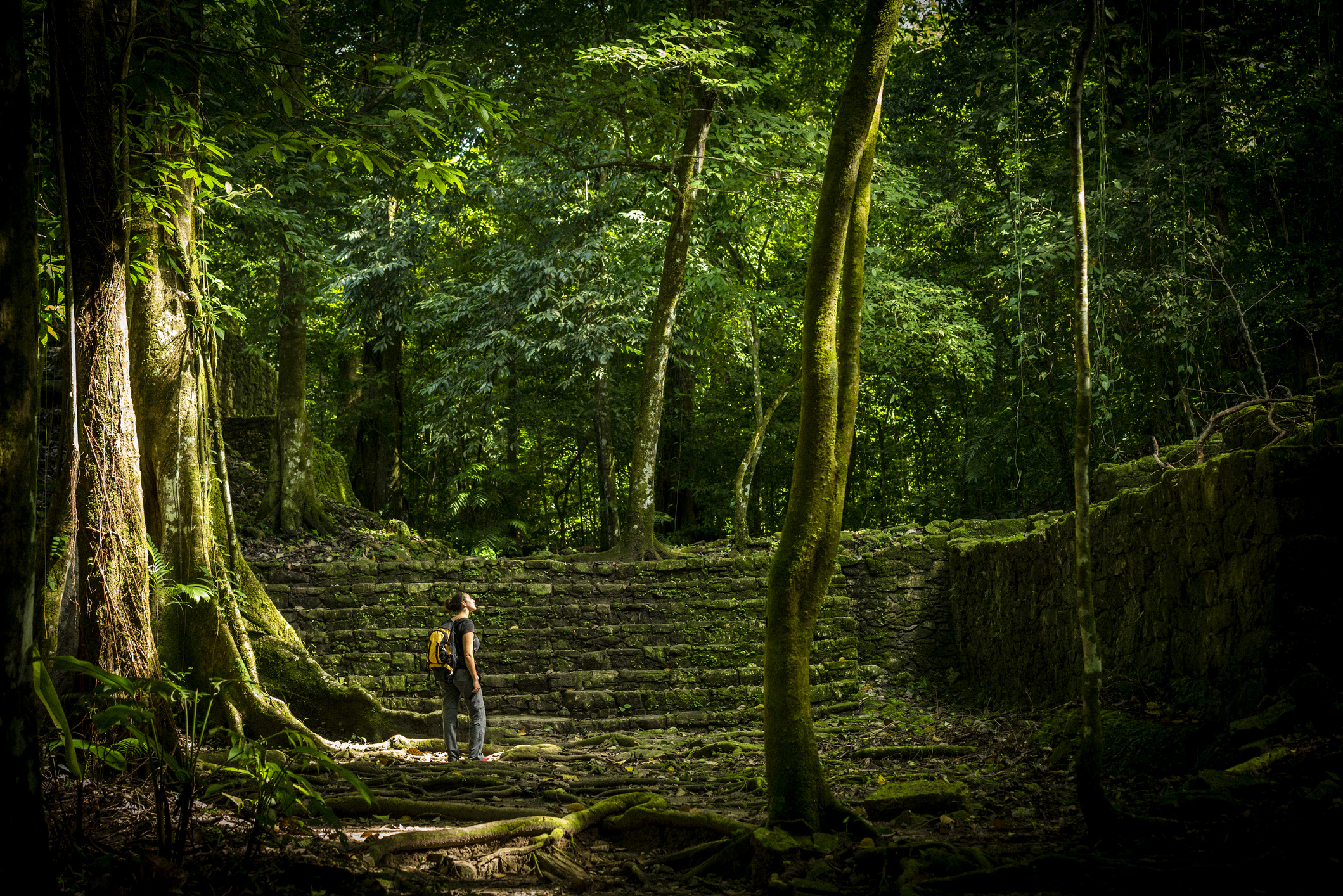Jungle Adventures: Exploring Mexico’s Breathtaking Rainforests
